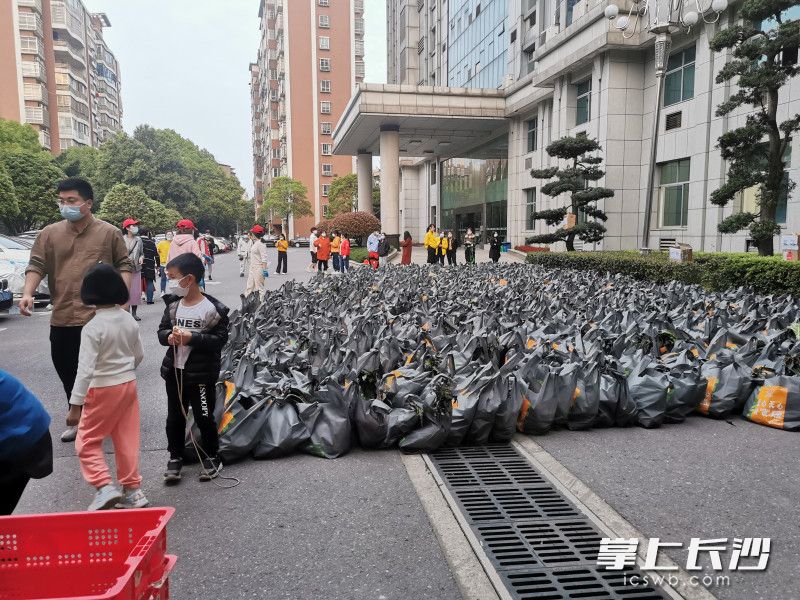 780份蔬菜包送到了湘林小區院內。長(cháng)沙晚報實(shí)習生 羅楊 攝